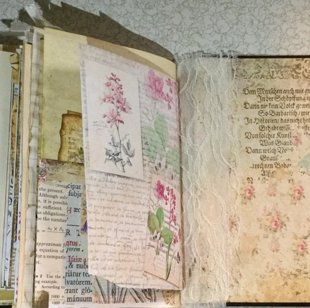 🌺 Distinct Victorian 🌸 Fractsi riella Journal 💮
